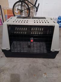 Kennel per cani
