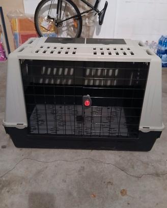 Kennel per cani