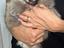 Immagine 1