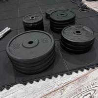 Dischi  domyos palestra