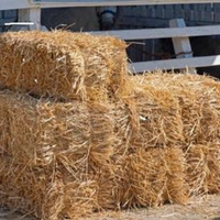 Fieno per animali ed eventi