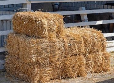 Fieno per animali ed eventi