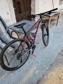 Specialized