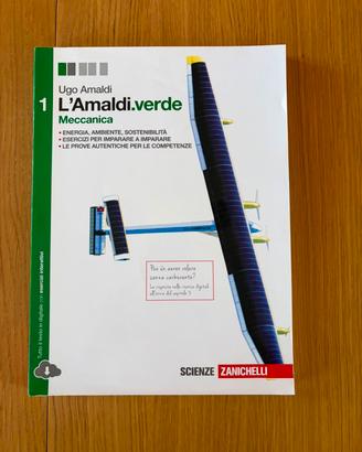 L'Amaldi.verde 1 