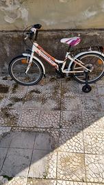 bici 20