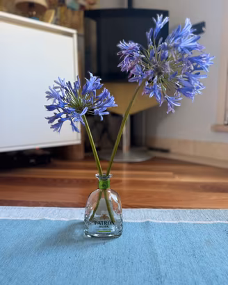 Bottiglia tequila Patron vuota