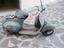 Immagine 1