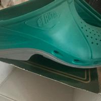 Zoccoli Plantas num 38