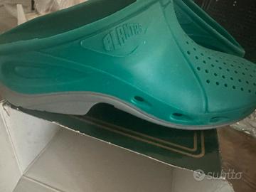 Zoccoli Plantas num 38