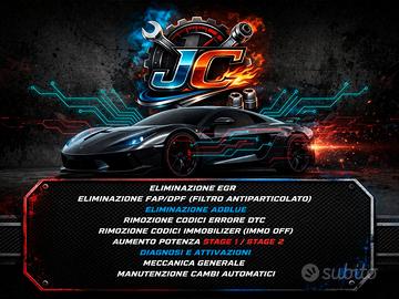 Rimappatura centraline auto/Disattivazione DPF EGR