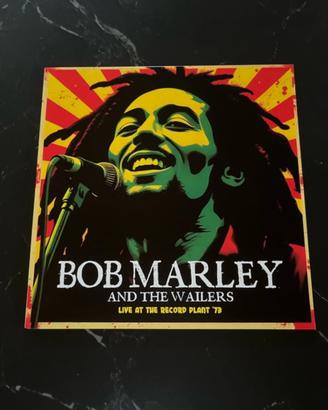 vinyl Bob Marley and the wailers