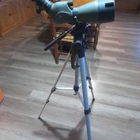 cannocchiale vanguard