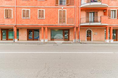 NEGOZIO A CARPENEDOLO