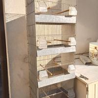 Gabbia colonna - camera fotografica