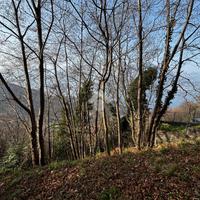 TER. AGRICOLO A PERLEDO