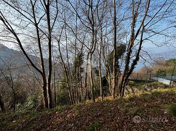 TER. AGRICOLO A PERLEDO