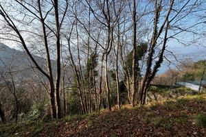 TER. AGRICOLO A PERLEDO