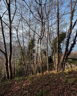 TER. AGRICOLO A PERLEDO