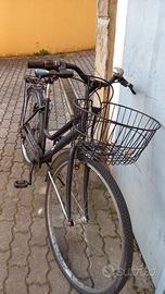 bicicletta 