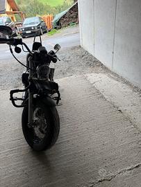 Harley Davidson Sportster 1200 custom