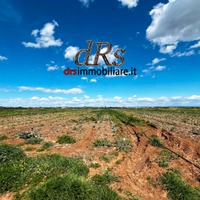 Agro di Marconia. Terreno agricolo di 3 ettari