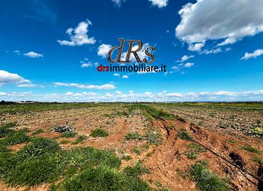 Agro di Marconia. Terreno agricolo di 3 ettari