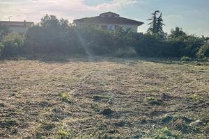 Terreno Agricolo Campo di carne