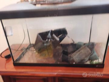 acquario 60x40x30
