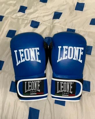 Guanti da boxe