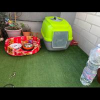 Lettiera e cuccia per gatto