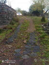 Vigneto a Biancavilla