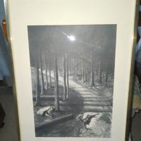 Serigrafia  R. Bianchetti "il pittore dei boschi"