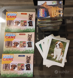 Video Enciclopedia del cane Hobby & Work