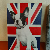 Set Quadretti England