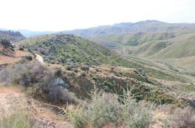 RGE 26/2018 Trib Enna - LOTTO 3