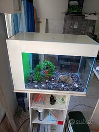acquario 