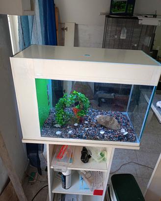 acquario 