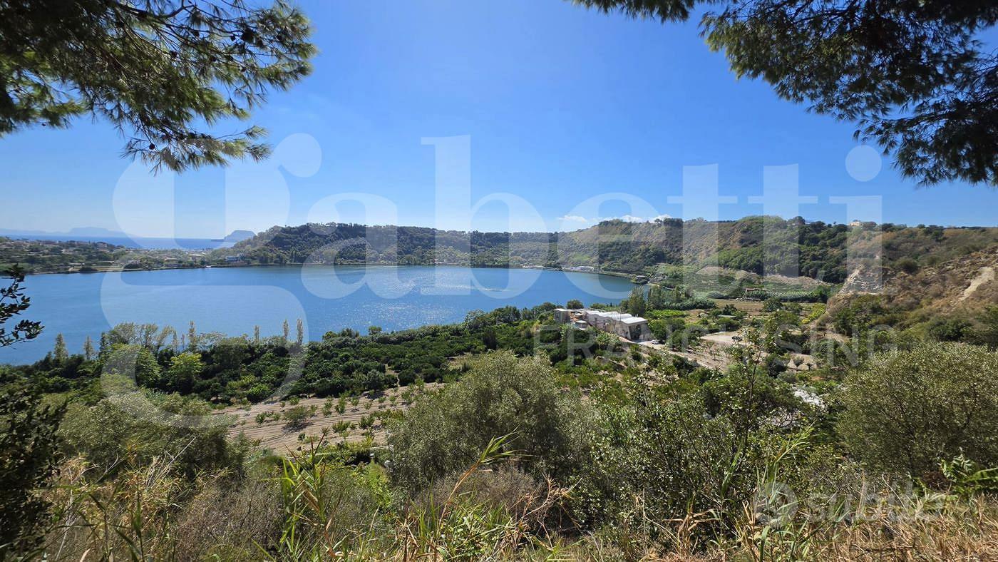 Terreno Agricolo Pozzuoli [Cod. rif 3333513VRG] - Vista 4