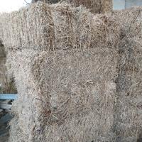 Erba medica per pacciamatura naturale