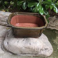 Vaso per bonsai