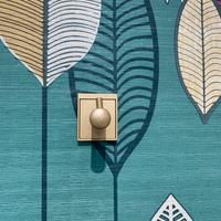 Coppia cover calamita