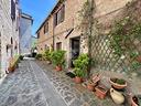 4-locali-a-grotte-di-castro