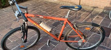 mountain bike kastle