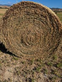 Fieno di erba medica e paglia