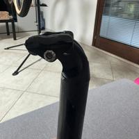 Reggisella specialized