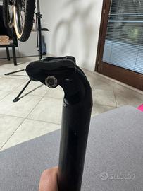 Reggisella specialized