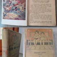 Uno Sciopero nel Pollaio, TOMMASO CATANI, Salani.