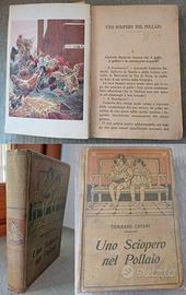 Uno Sciopero nel Pollaio, TOMMASO CATANI, Salani.