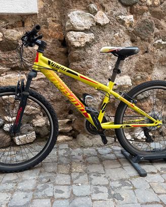 Bici 24 pollici TORPADO