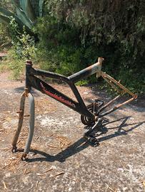 Bici  telaio x restauro